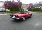 1986 Alfa Romeo Graduate Driver
