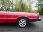 1986 Alfa Romeo Graduate Driver