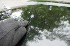 1990 Jaguar XJS V12 Convertible – Triple Black – Classic V12 Cruise