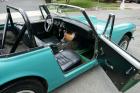 1972 MG Midget with Overdrive Good Driver