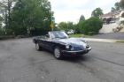 1989 Alfa Romeo Spider Graduate Triple Black Nice Driver 