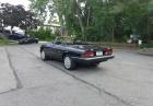 1989 Alfa Romeo Spider Graduate Triple Black Nice Driver 