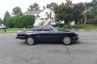 1989 Alfa Romeo Spider Graduate Triple Black Nice Driver 