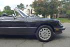 1989 Alfa Romeo Spider Graduate Triple Black Nice Driver 