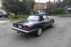 1989 Alfa Romeo Spider Graduate Triple Black Nice Driver 