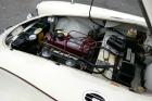 1961 MG MGA – Old English White – 1800 Engine – Wire Wheels
