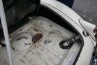 1961 MG MGA – Old English White – 1800 Engine – Wire Wheels