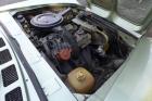1977 Fiat 124 Spider – Restored, Attractive Lime Green 